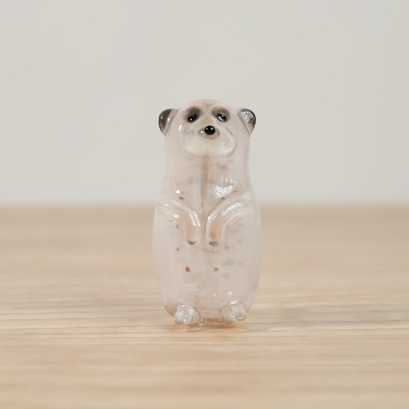 Meerkat