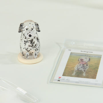 Custom Dog Fur Keepsake